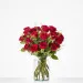 Lovely red roses