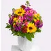 Sunny Greetings
