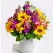 Sunny Greetings