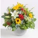 Late Summer Splendor