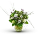 Fioletowy