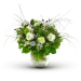Fioletowy
