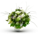 Fioletowy