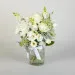 Classic White Flowers