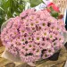 Bouquet of pink marguerite 