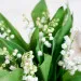 Bouquet de muguet