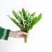 Bouquet de muguet et ses chocolats