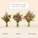 Chanson Douce