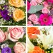 Perfect Flower Surprise