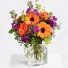 Summer Greeting