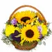 Power of Summer