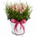 Flower arrangement Sweet Easter Present