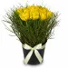 Arrangement of Tulips Spring-Hit