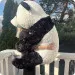 Patrick Panda
