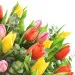 Piękny Bukiet Kolorowych Tulipanów