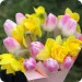 Spring bouquet