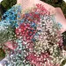 Bouquet of colored gypsophila