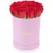 Red roses in a pink box