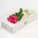 7 pink roses