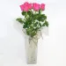 7 pink roses