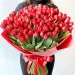 Red tulips 12-100 pcs.