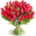 Red tulips 12-100 pcs.