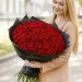 Red roses 9-100 pcs.