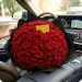 Red roses 9-100 pcs.