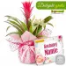 Mother's Day Guzmania with a box of chocolates
