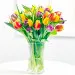 Seasonal bouquet of tulips