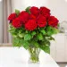 12 red roses