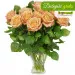 12 tea roses