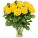 12 yellow roses