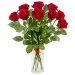 9 red roses