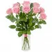 9 pink roses