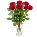 7 czerwonych róż