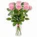 7 pink roses