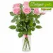 7 pink roses