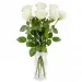 7 white roses