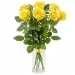 7 yellow roses