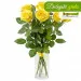 7 yellow roses