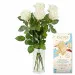 5 white roses with chocolate