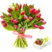 21 różowych tulipanów