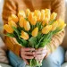 21 żółtych tulipanów