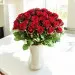 Roses in love