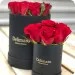 Red roses in a black box