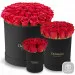 Red roses in a black box