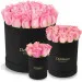 Pink roses in a black box