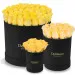 Yellow roses in a black box
