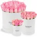 Pink roses in a white box